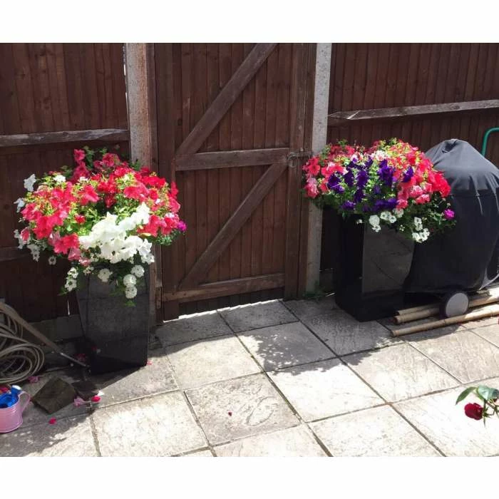 60cm x 34cm Gloss Tall Flared Square Fibreglass Planter in Black - By Primrose™ - Image 3