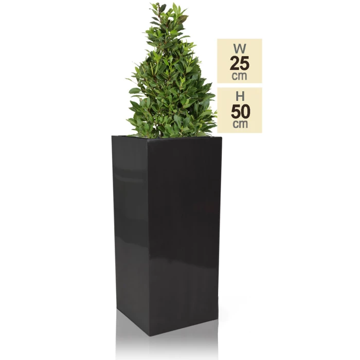 H50cm Zinc Galvanised Tall Platinum Cube Planter - By Primrose™ - Image 3