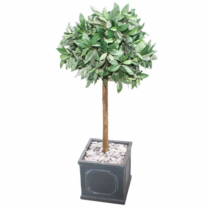 H45cm Buckingham Lead Effect Framed Cube Planter - By Terra Pot™ - Image 5