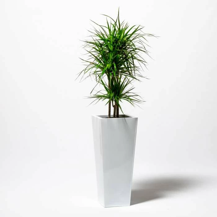 90cm Flared Square Zinc White Gloss Dipped Galvanised Plante - Image 4