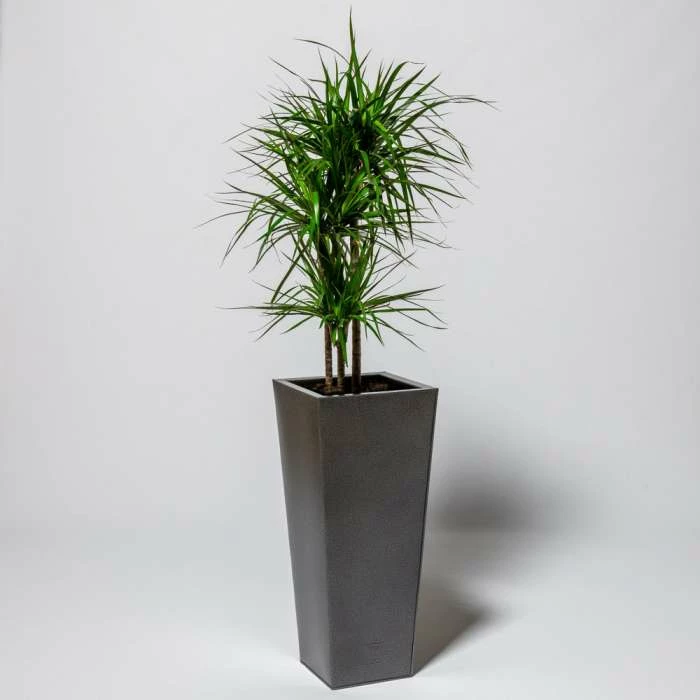 70cm Flared Square Zinc Silver & Black Textured Dipped Galvanised Planter