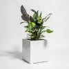 70cm White Gloss Polystone Cube Planter