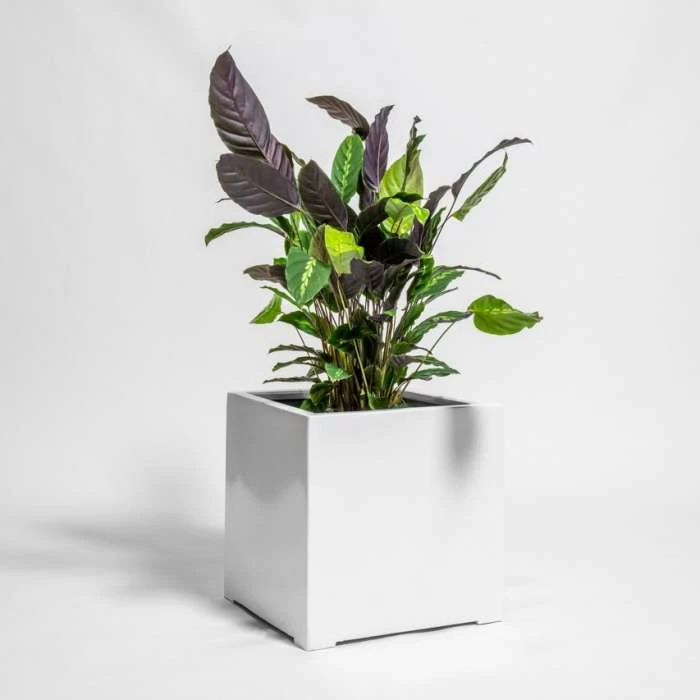70cm White Gloss Polystone Cube Planter