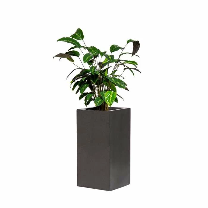 60cm Metallic Grey Polystone Tall Cubic Planter